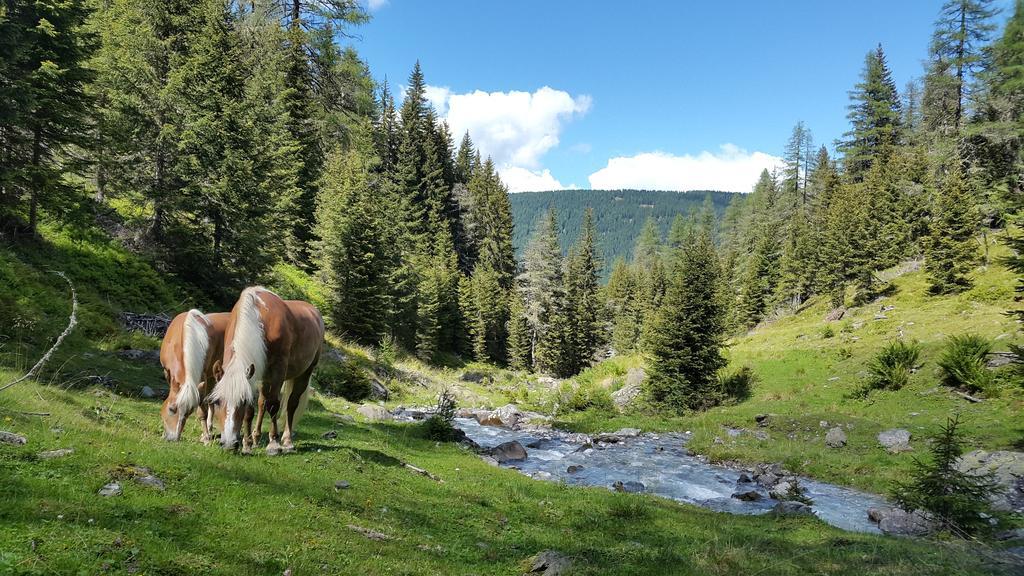 Gaestepension Klammer Картіч Екстер'єр фото